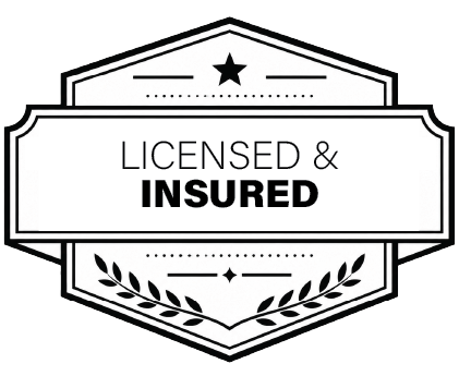 lic-ins badge